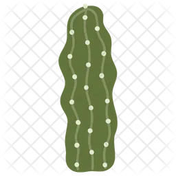 Cactus vela  Icono