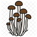 Mushroom Mushrooms Velvet Pioppini Shimeji Icon