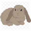 Velveteen Lop Rabbit  Icon