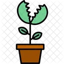 Venus Flytrap Potted Icon