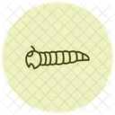 Ver De Farine Insecte Coleoptere Icône