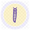 Ver Luisant Insecte Lueur Icône