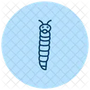 Ver Luisant Insecte Lueur Icône