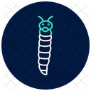 Ver Luisant Insecte Lueur Icône