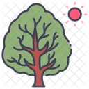 Verano Arbol Naturaleza Icon