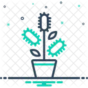 Verba Cactus Cactaceae Icon