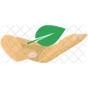 Verde  Ícone