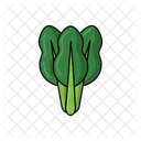 Verde Mostaza Brassica Juncea Mostaza Icon