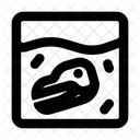 Vergrabener Schädel  Symbol