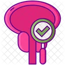 Verificacao De Prostata Exame De Prostata Check Up Icon