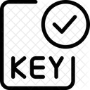 Verificacao De Chave De Arquivo Ícone