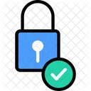 Protectionv Verified Lock Padlock Icon