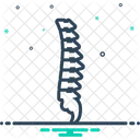 Vertebra Anatomia Coluna Vertebral Ícone