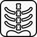 Vertebra  アイコン