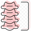 Vertebra  Icon