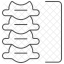 椎骨 細線 アイコン アイコン