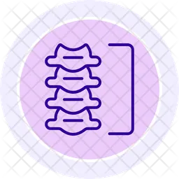 Vertebrae  Icon