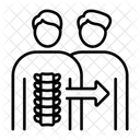 Vertebrae  Icon