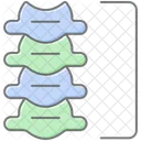 Vertebrae  Icon
