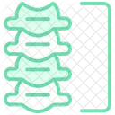Vertebrae  Icon