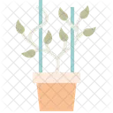Vertical  Icon