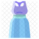 Vestido Ícone