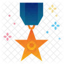 Day Medal Honor Icon