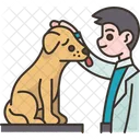 Veterinario Animal Medico Icono