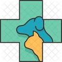 Veterinario Mascota Hospital Icono