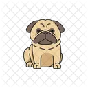 Pug Animal Animal De Estimacao Ícone