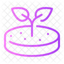 Viande De Soja Galette Burger Vegetalien Icon