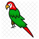 Vibrant Feathers Pet Birds Mimicry Abilities Icon