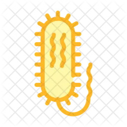 Vibrio  Icon