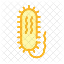 Vibrio Cholerae Color Icon
