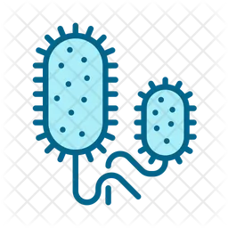 Vibrio cholerae  Icon