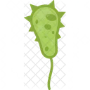 Vibrio cholerae  Icon