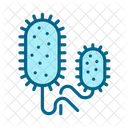Bacteria Vibrio Cholerae Bacterium Icon