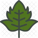 Viburnum Leaf Nature Icon