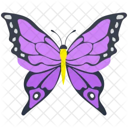 Viceroy Butterfly  Icon