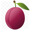 Victoria Plum Fruit Icon