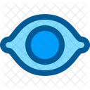 View Eye Interface Icon