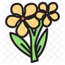 Vinca Flower  Icon