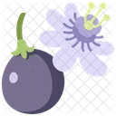 Fruit Vegan Plant Icon