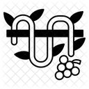 Vine Icon