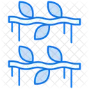 Vine  Icon