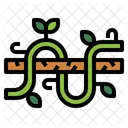 Vine  Icon