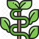 Vine Plant Climber Icon