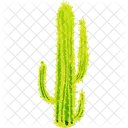 Cactus Icon