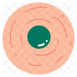 Vinyl Disk  Icon