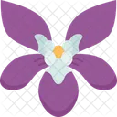 Violet Viola Flower Icon